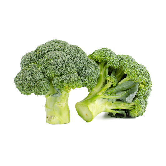 Broccoli Marathon (Calabrese) Seeds