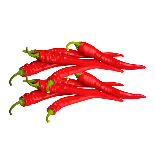 Organic chilli Ring of Fire  Seeds