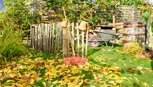 Essential Autumn Gardening Tasks for Allotment Owners and Home Gardeners