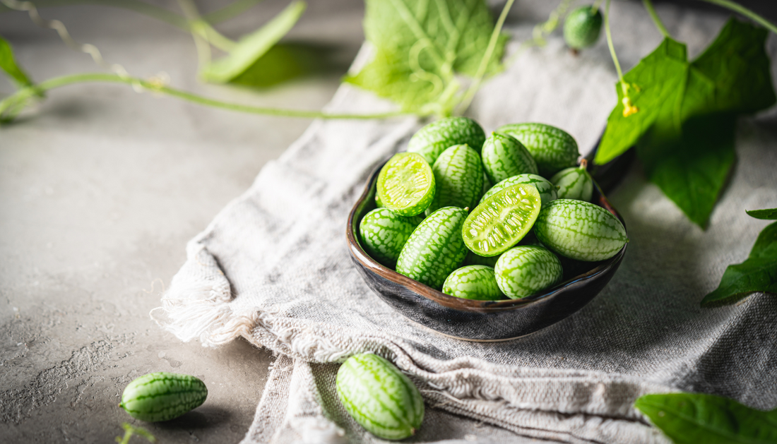  Growing Cucamelon