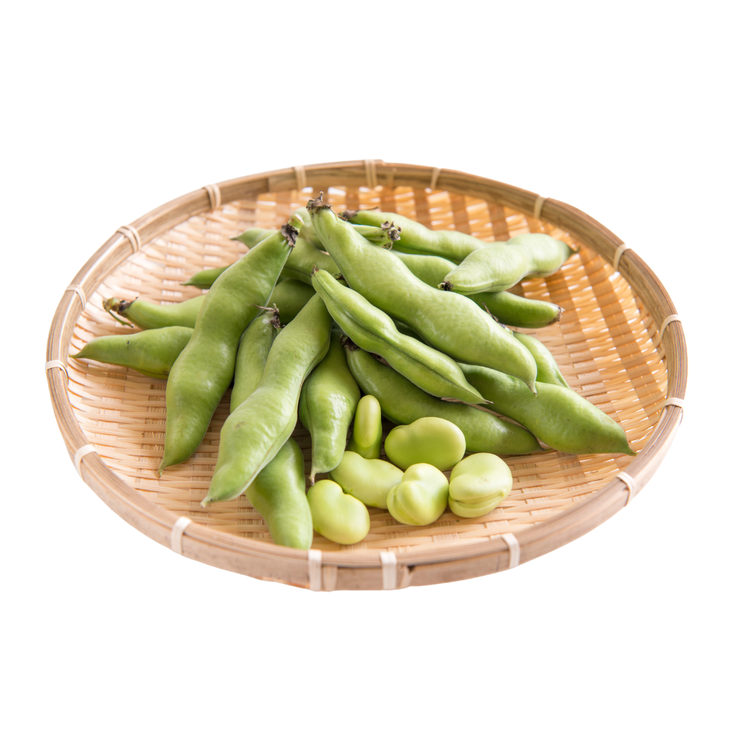 Broad Bean Aquadulce Claudia Seeds