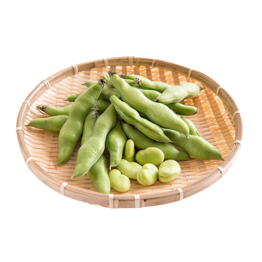 Broad Bean Aquadulce Claudia Seeds