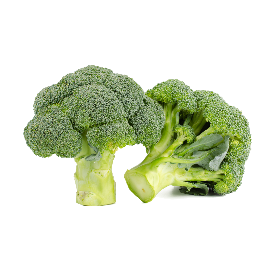 Broccoli Marathon (Calabrese) Seeds