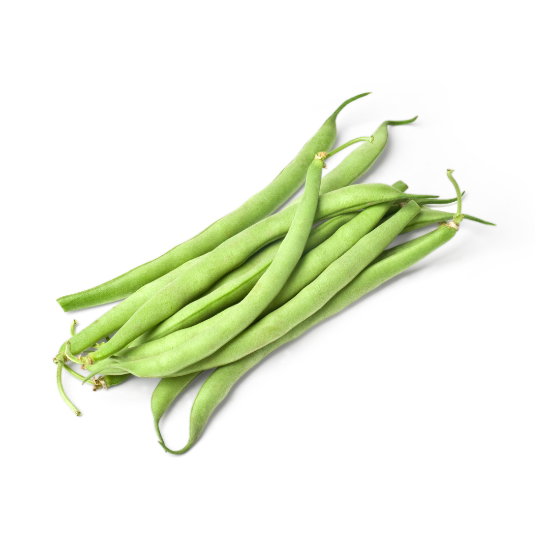 Dwarf French Bean 'Safari Seeds