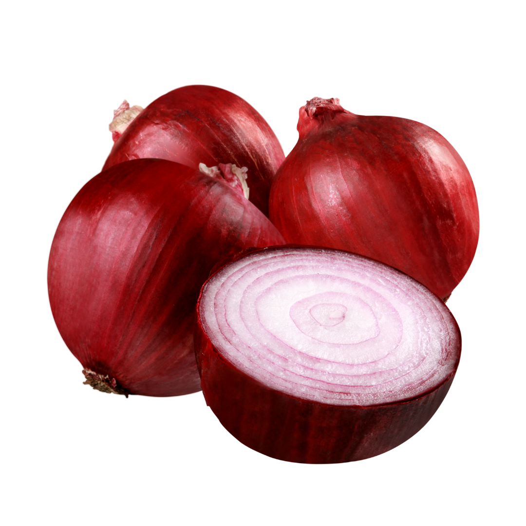 Onion Red Brunswick Seeds