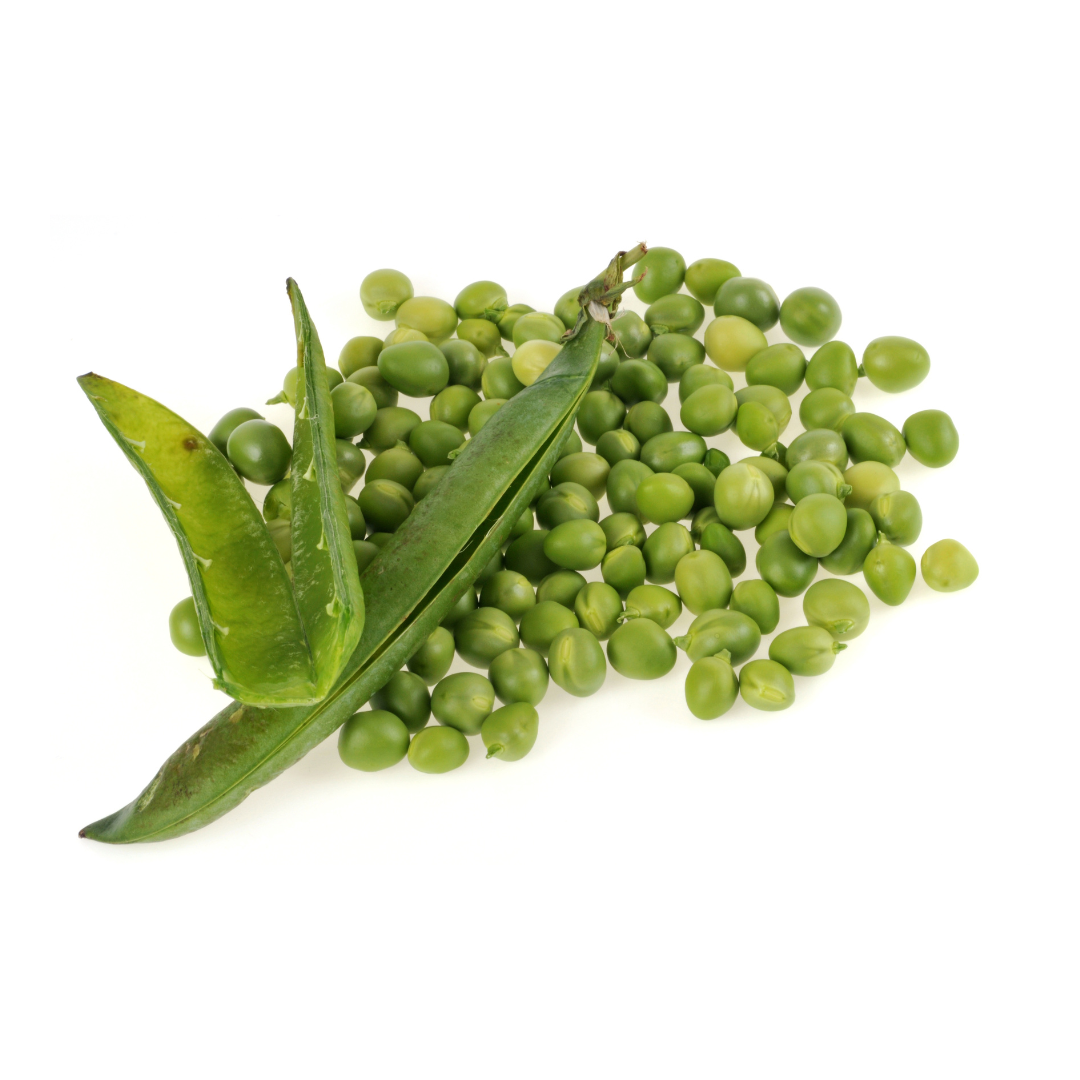 Pea Petit Pois Waverex Seeds