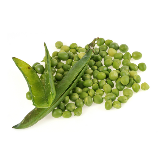 Pea Petit Pois Waverex Seeds