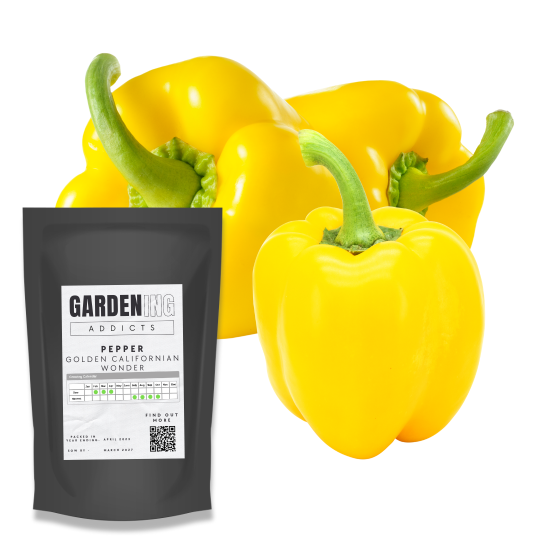 Golden Californian Wonder Pepper