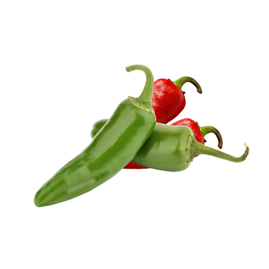 chilli pepper Jalapeno Seeds