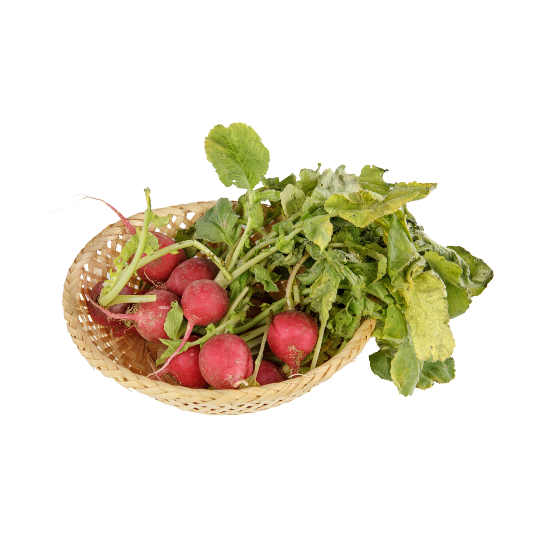 Radish Cherry Belle Seeds