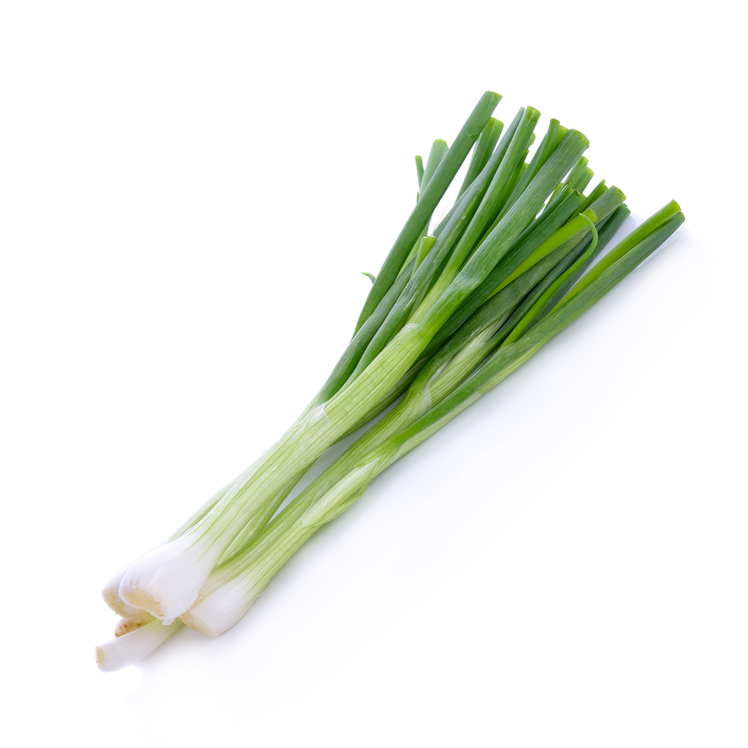 Spring Onion White Lisbon Seeds