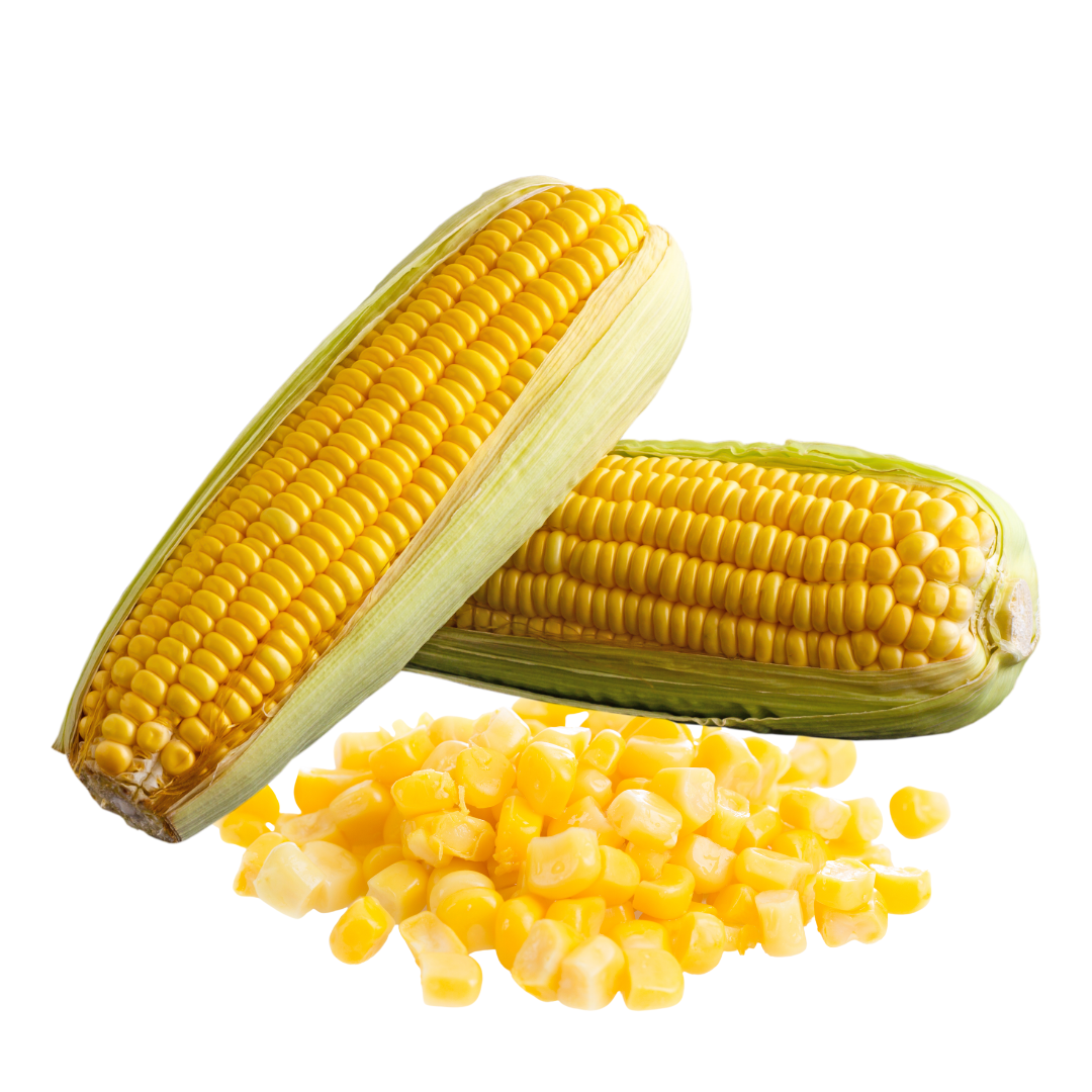 Sweetcorn Earlibird F1 Seeds