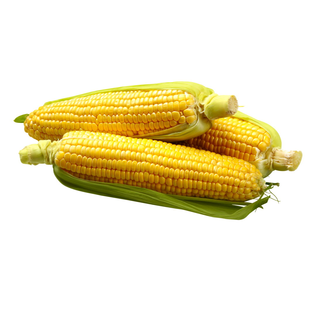 Sweetcorn Swift F1 Seeds