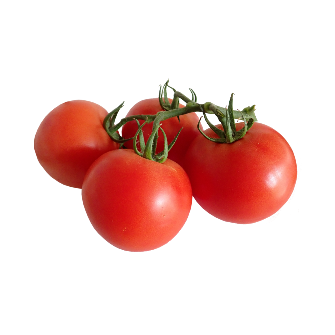 Tomato Moneymaker Seeds