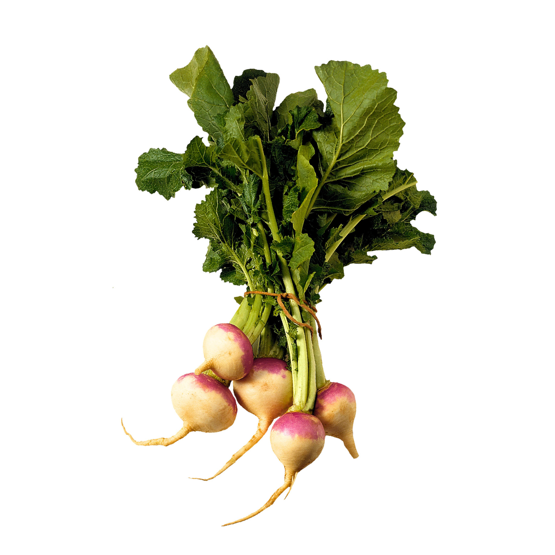 Turnip Purple Top Milan Seeds