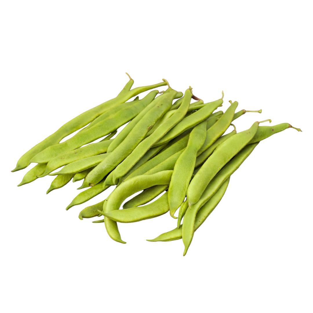 Moonlight Runner Bean Seeds